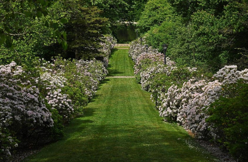 Connecticut College Arboretum, United States